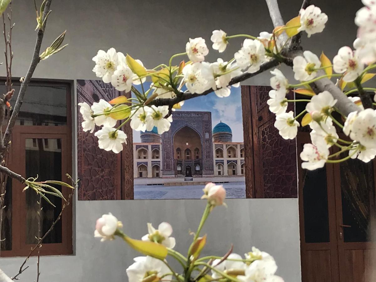 Shohi Zinda Samarkand Luaran gambar